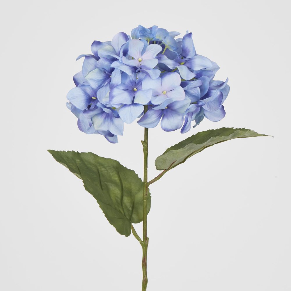 68Cm Domed Hydrangea