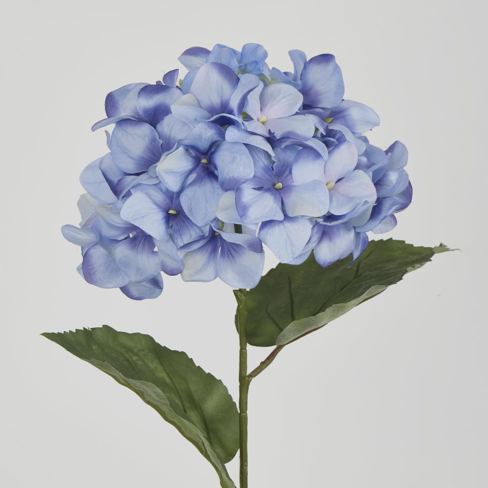 68Cm Domed Hydrangea