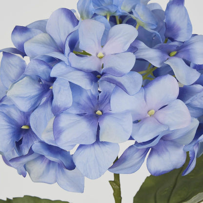 68Cm Domed Hydrangea