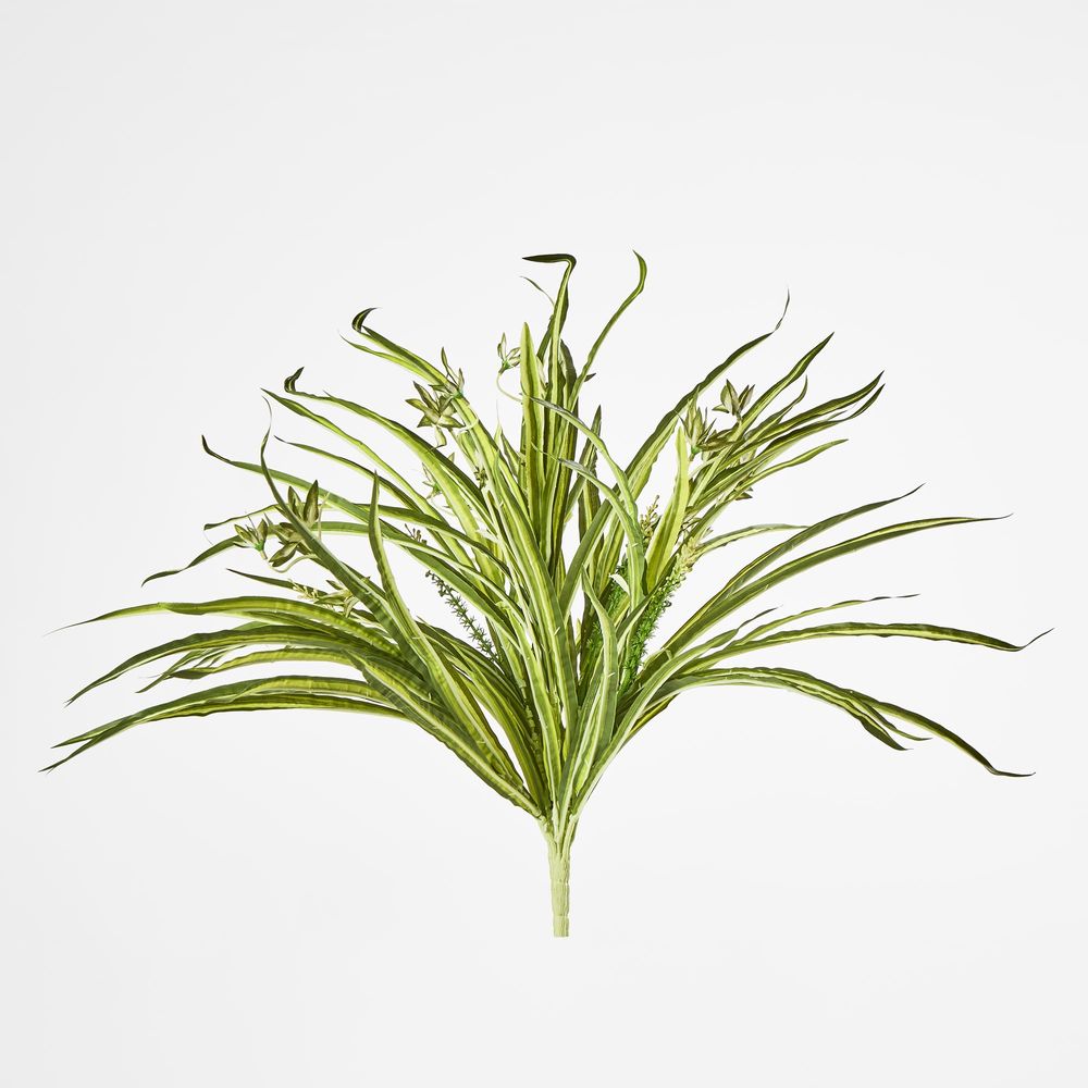 Green White Spider Plant With 79 Leaves Real Touch