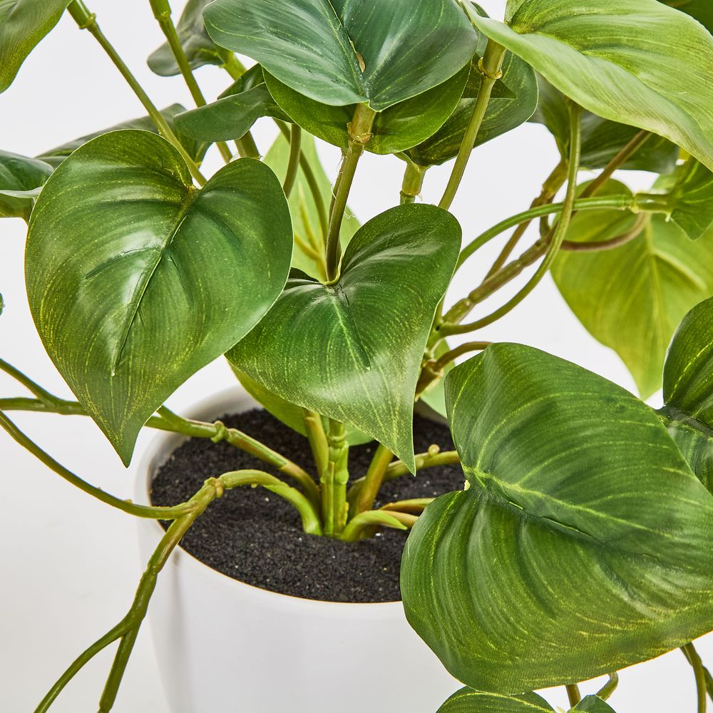 Hanging Philo Leaf Bush In White Pot