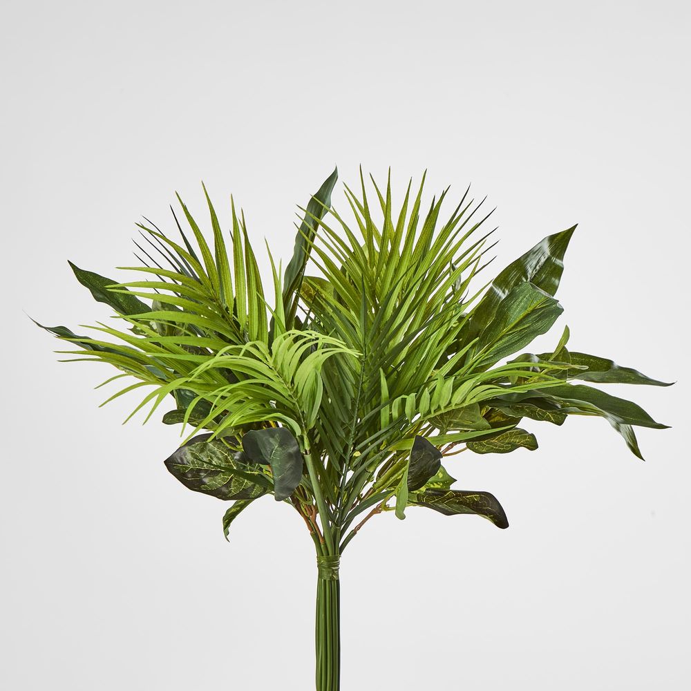 Dracaena Palm Bundle