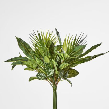 Dracaena Palm Bundle