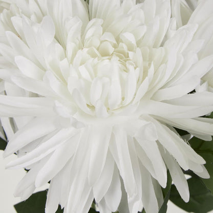 White Mum Bush X 5 46Cm