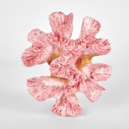 Pearl Pink Coral 15X12X5Cm