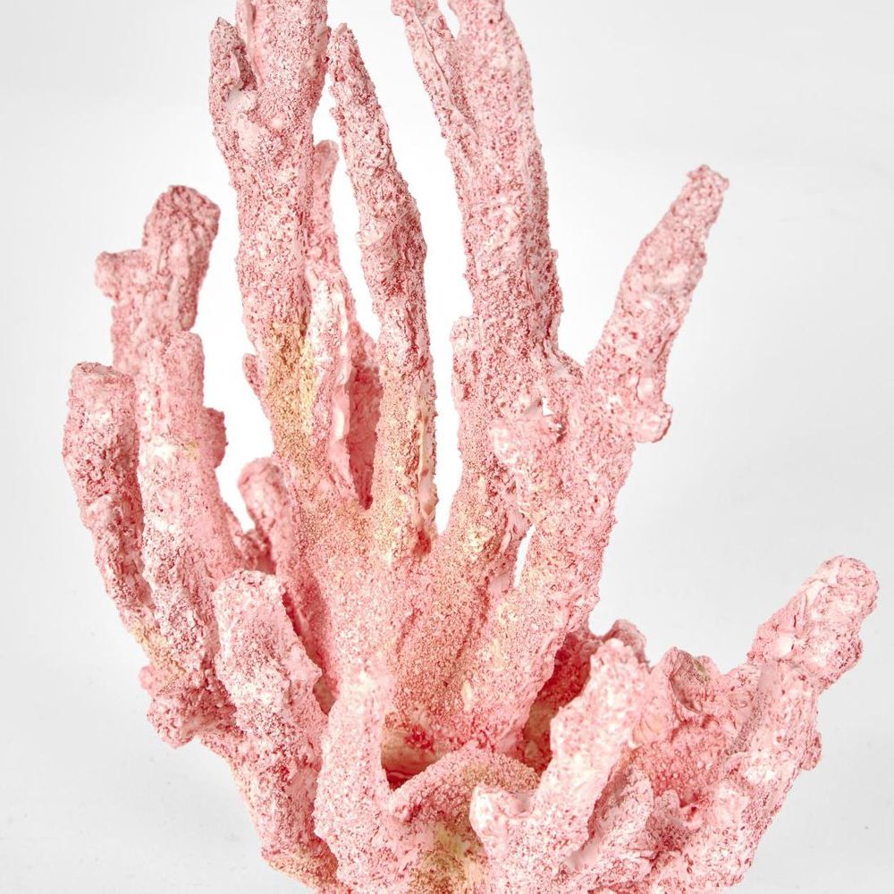 雪莱粉红珊瑚15X9X16Cm