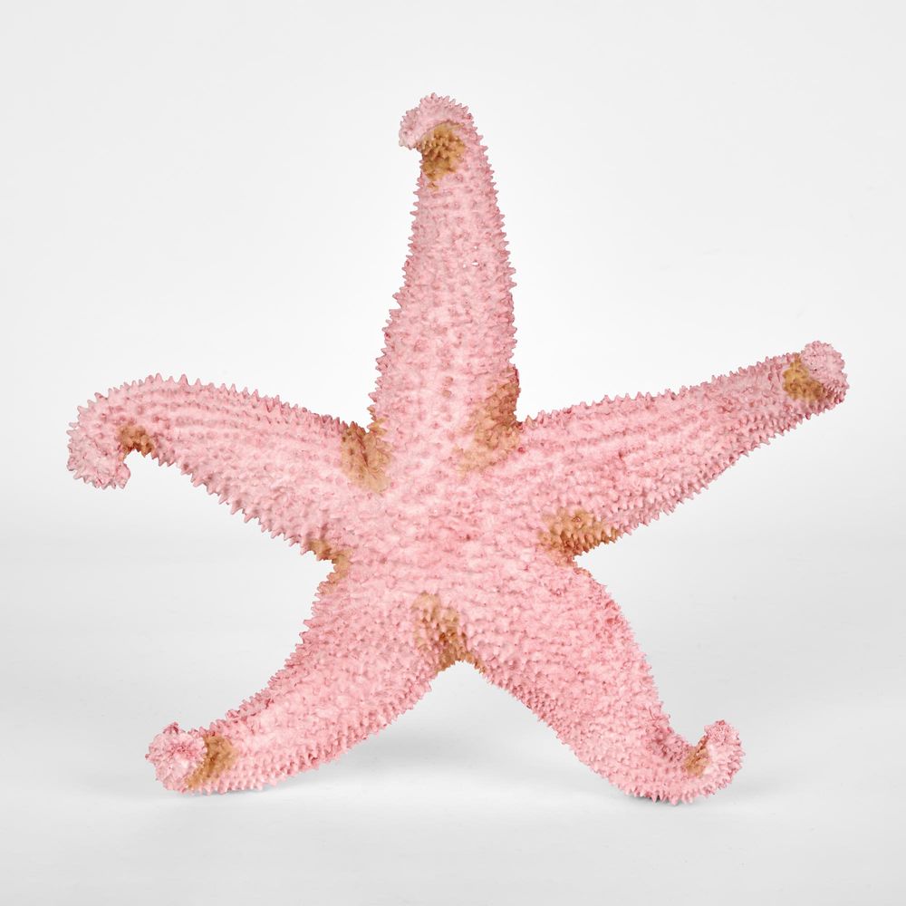 Sera Pink Starfish 24X24X5Cm