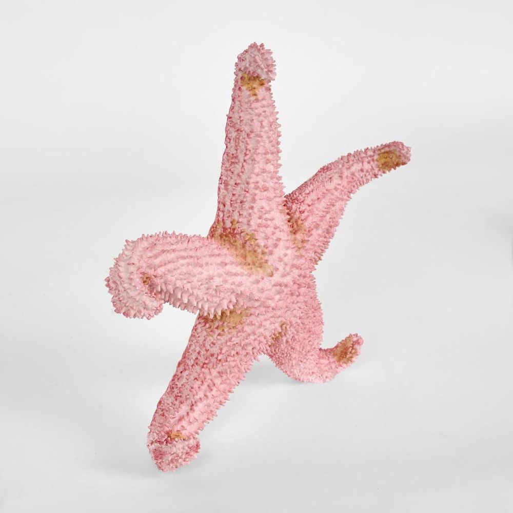 Sera Pink Starfish 24X24X5Cm