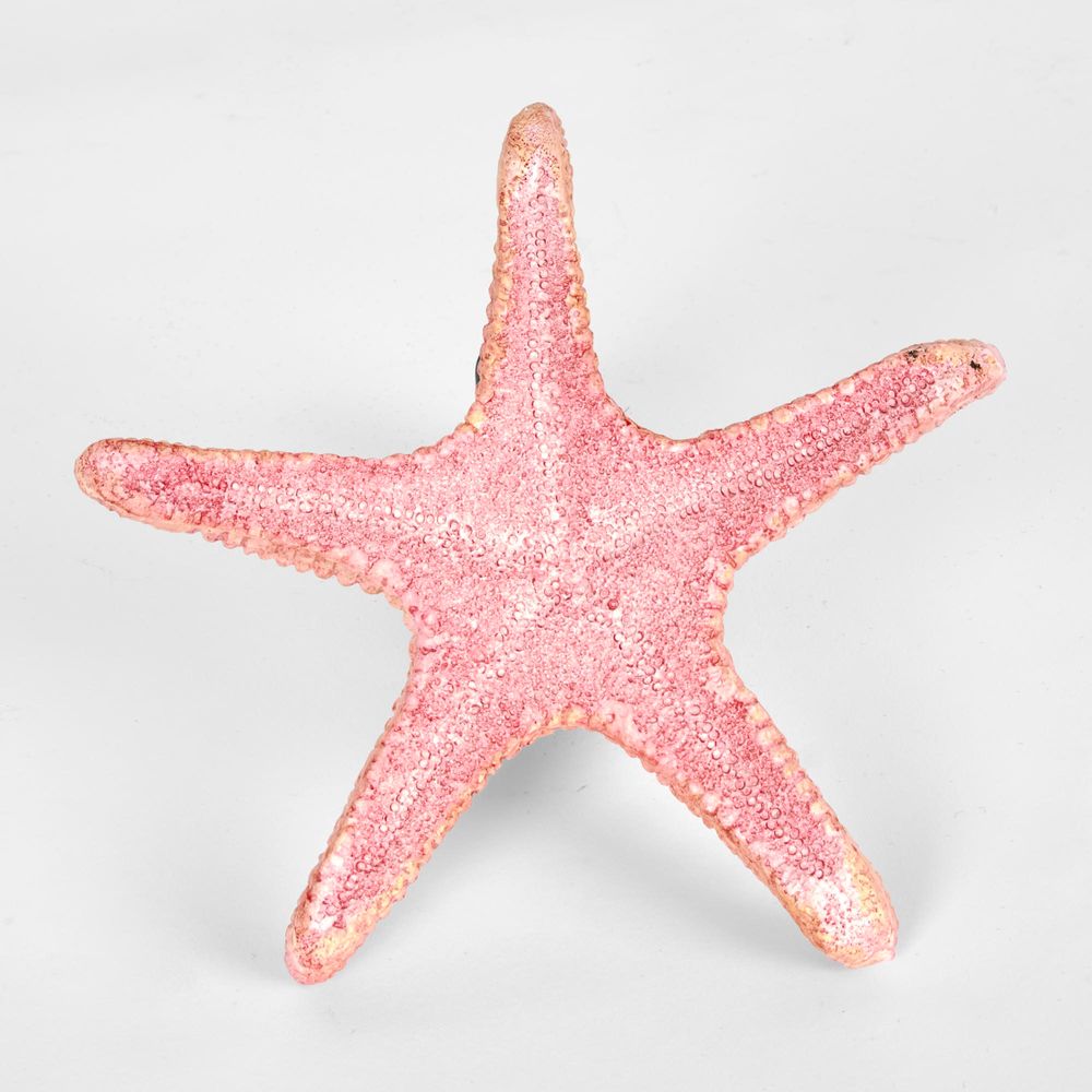 Sale Pink Starfish 15X15X4Cm