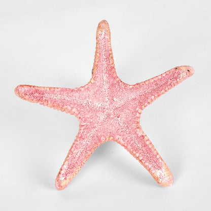 Sale Pink Starfish 15X15X4Cm