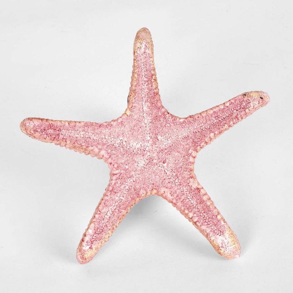 Sale Pink Starfish 15X15X4Cm