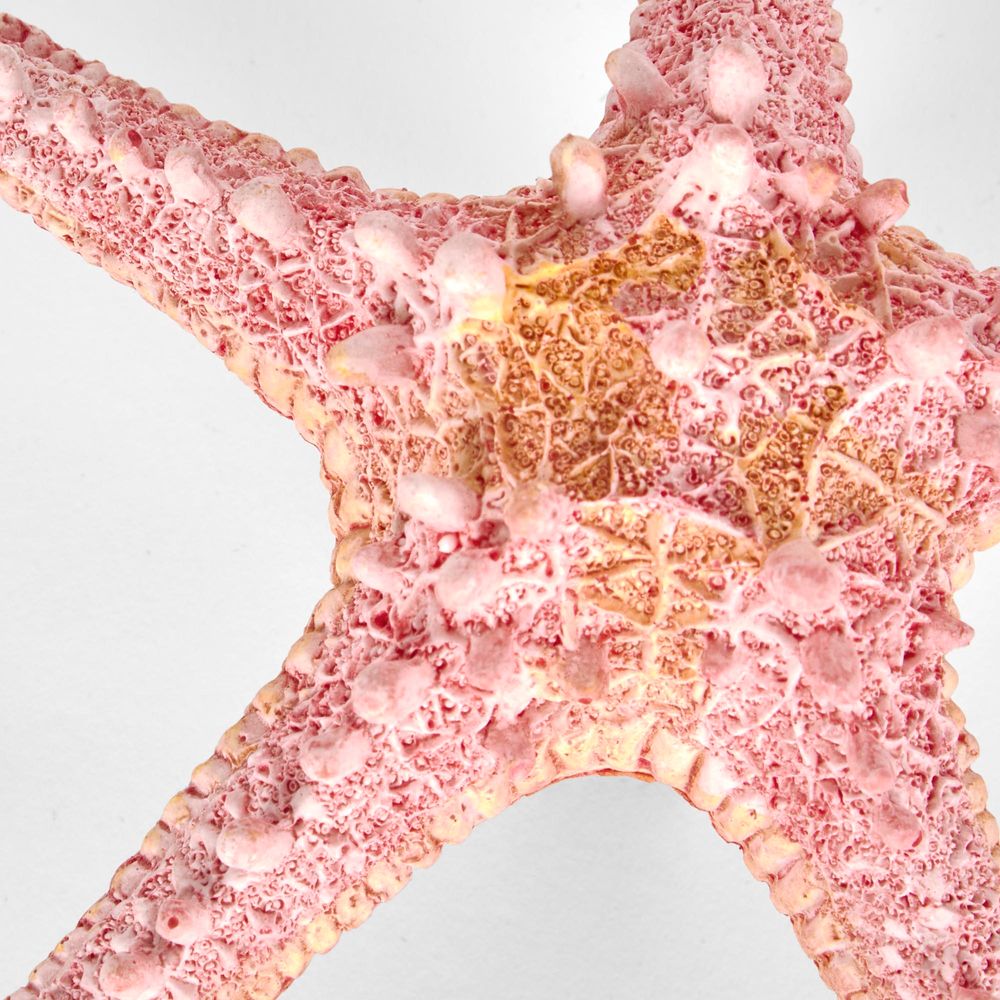 Sale Pink Starfish 15X15X4Cm