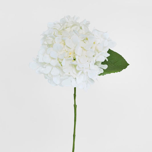 白绣球花