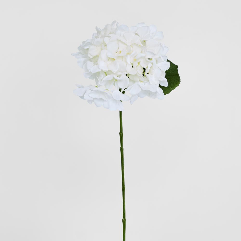 白绣球花