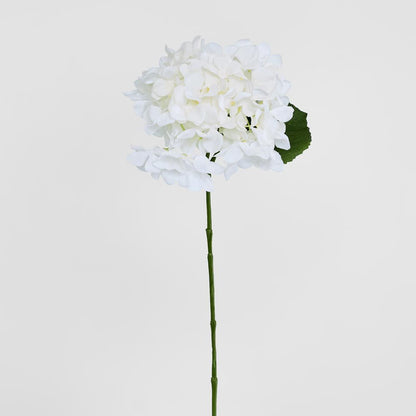 白绣球花