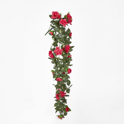 Hanging Roses