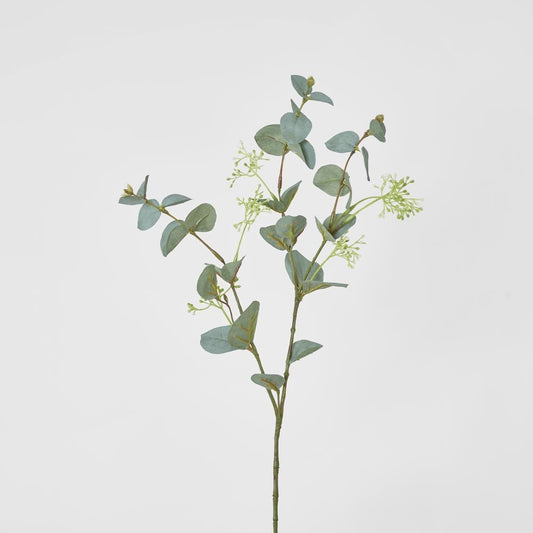 Grey Green Eucalyptus Spray With Seed