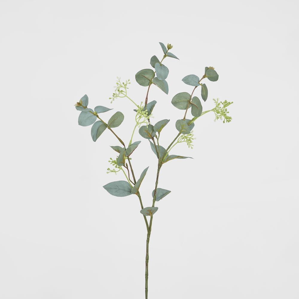 Grey Green Eucalyptus Spray With Seed