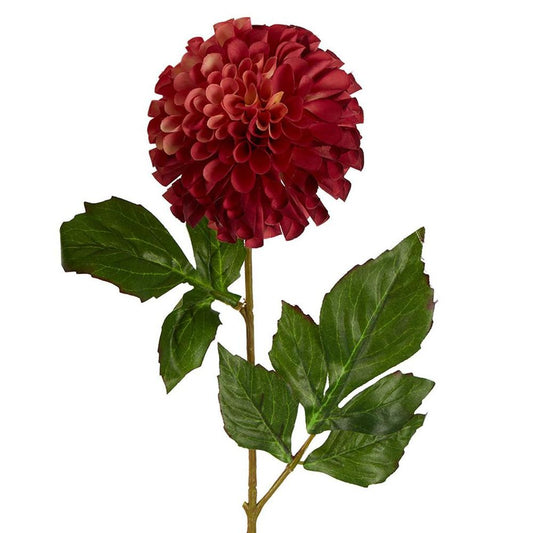 Pompom Ball Dahlia Stem 62Cm Burgundy