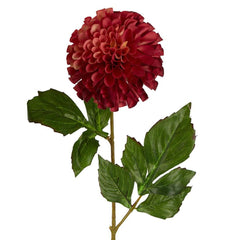 Pompom Ball Dahlia Stem 62Cm Burgundy