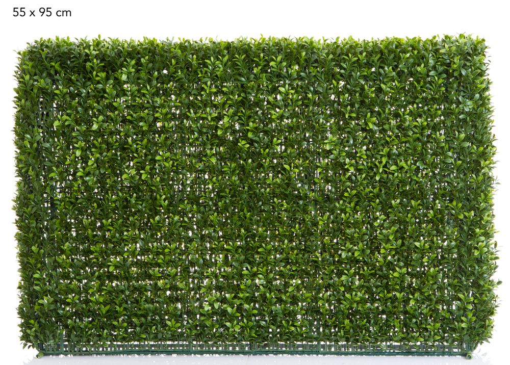 Boxwood Hedge 55X95Cm