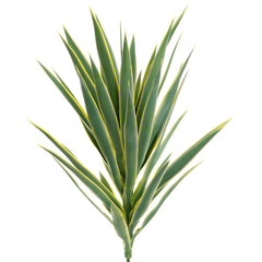 Yucca Head Green 78Cm