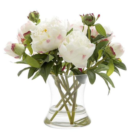 Peony In Water In Glass Vase White
