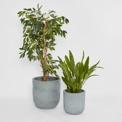 Dessa Large Terrazzo Planter Set Of Two