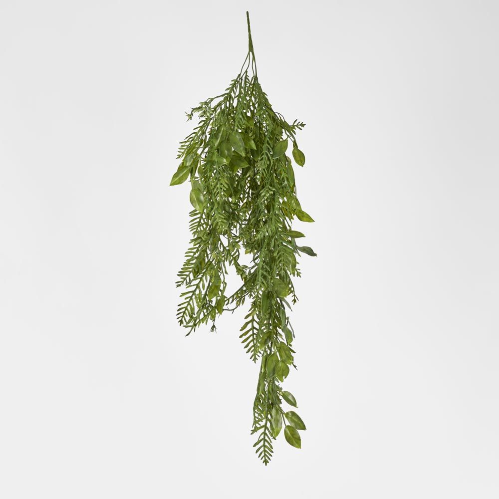 Hanging Fern Leaf Combo