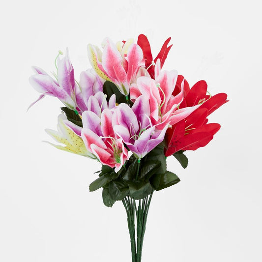 Tiger Lily Bush Sold In Box Qty Only