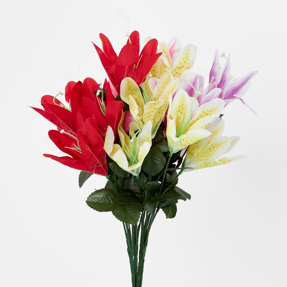 Tiger Lily Bush Sold In Box Qty Only