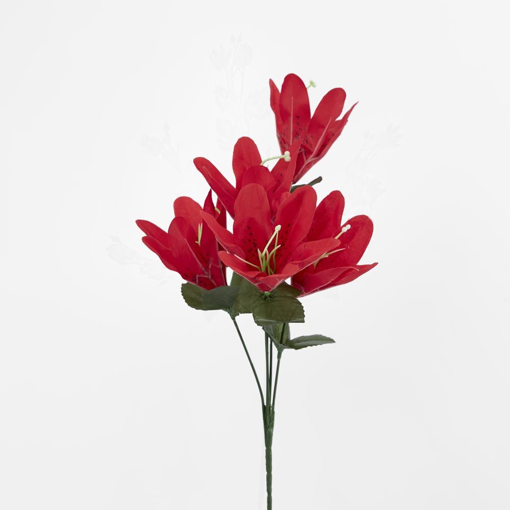 Tiger Lily Bush Sold In Box Qty Only