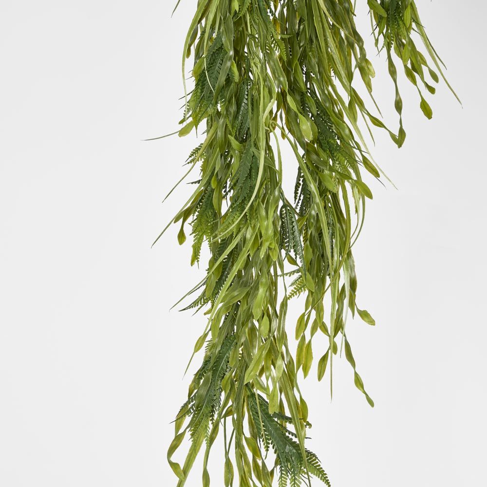 Hanging Amaranthus Grass