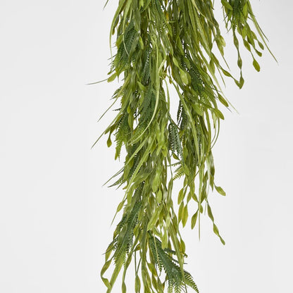 Hanging Amaranthus Grass