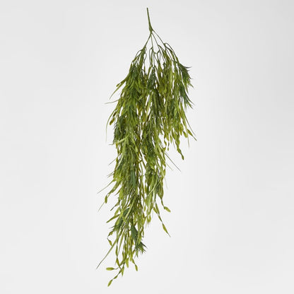 Hanging Amaranthus Grass