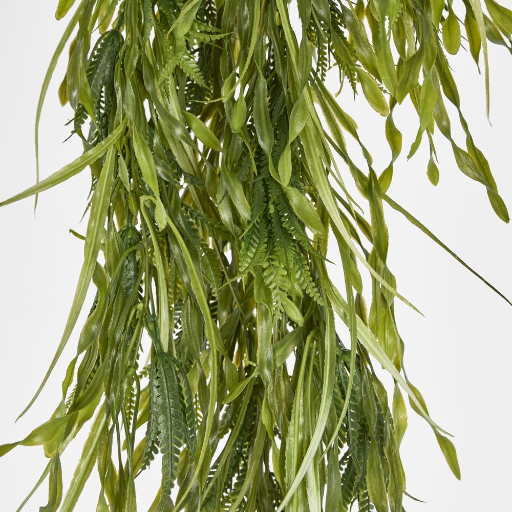 Hanging Amaranthus Grass