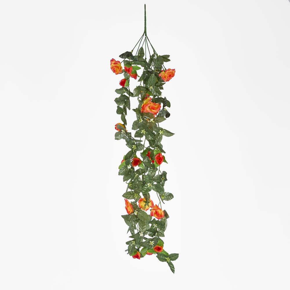 Hanging Roses