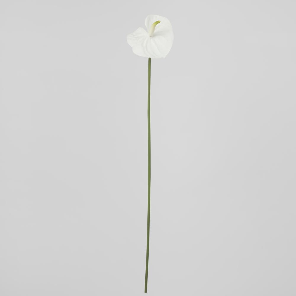 Anthurium Lily Real Touch White