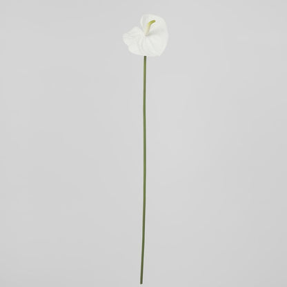 Anthurium Lily Real Touch White