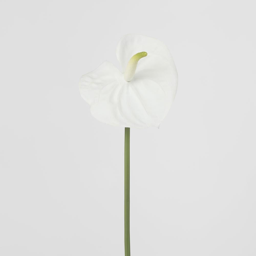 Anthurium Lily Real Touch White