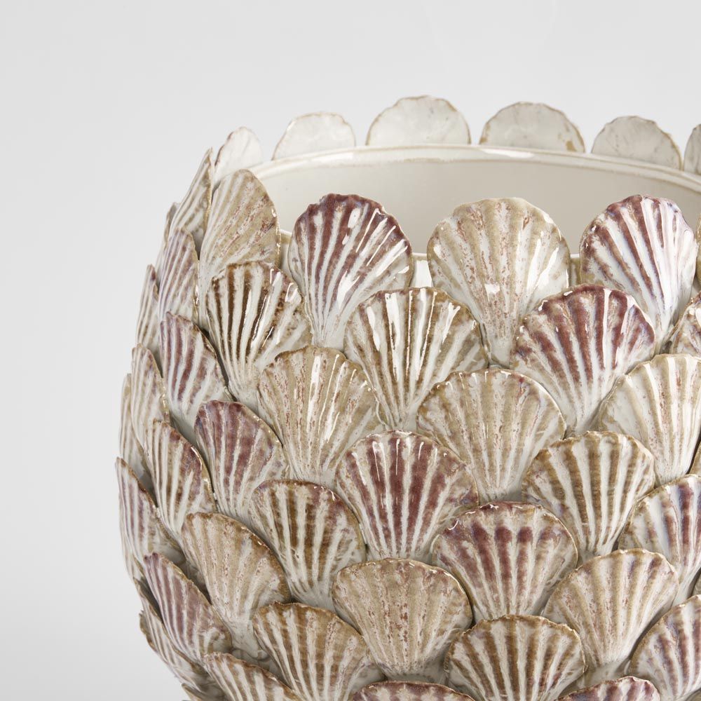 Cockle Shell Vase Lge