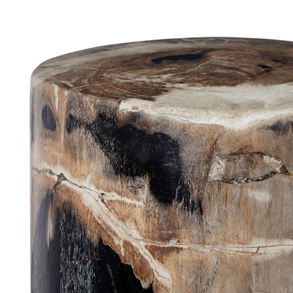 Binga Petrified Wood Table Natural