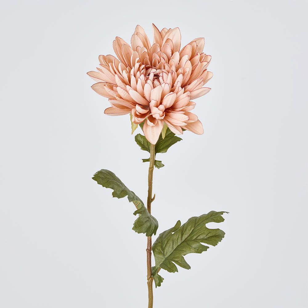 Mum Stem White Pink 69Cm