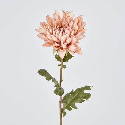 Mum Stem White Pink 69Cm