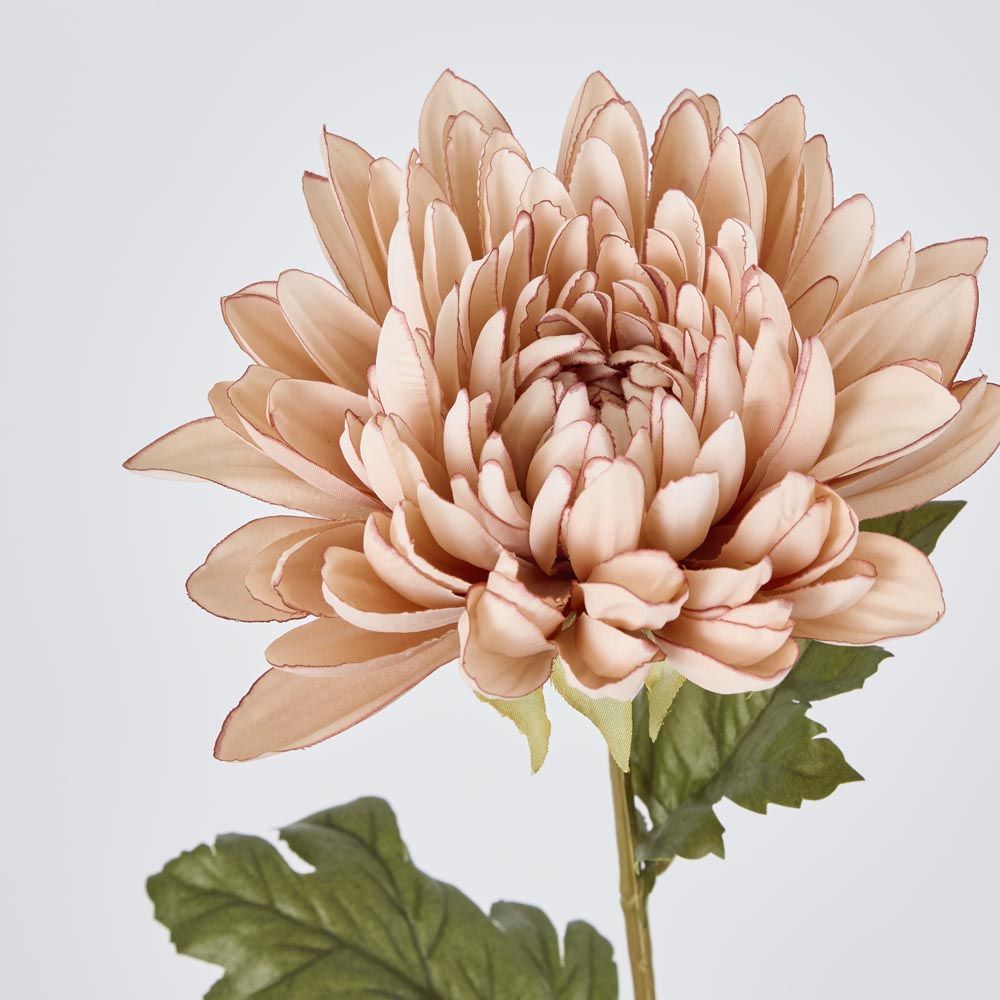 Mum Stem White Pink 69Cm