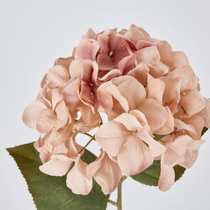 Hydrangea Stem 69Cm Light Pink