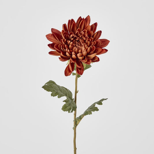 Mum Stem Brown 69Cm
