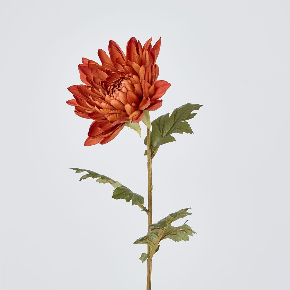Mum Stem Brown 69Cm