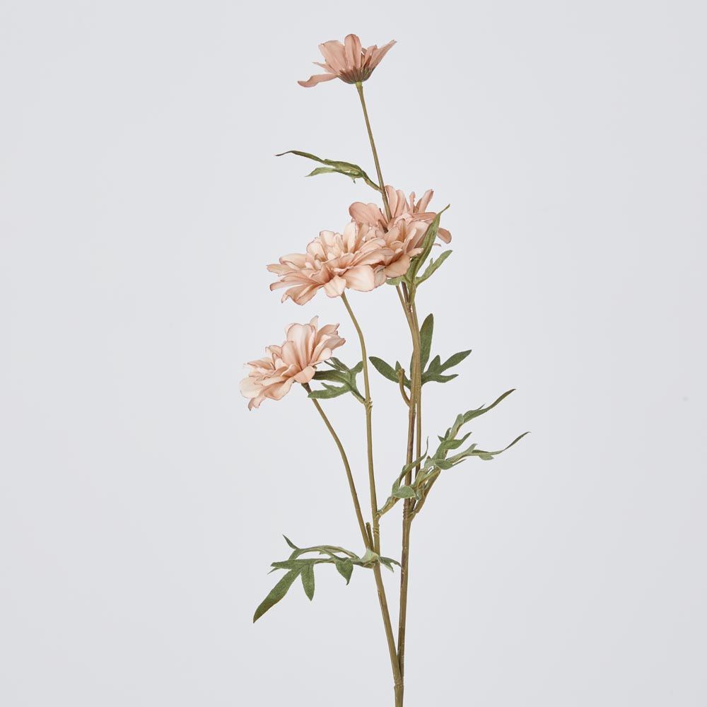 Daisy Spray White Pink 75Cm