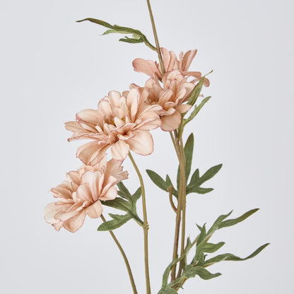 Daisy Spray White Pink 75Cm